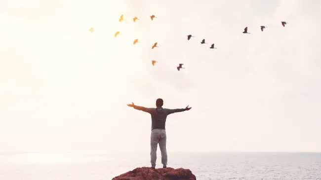 person standing on edge of cliff